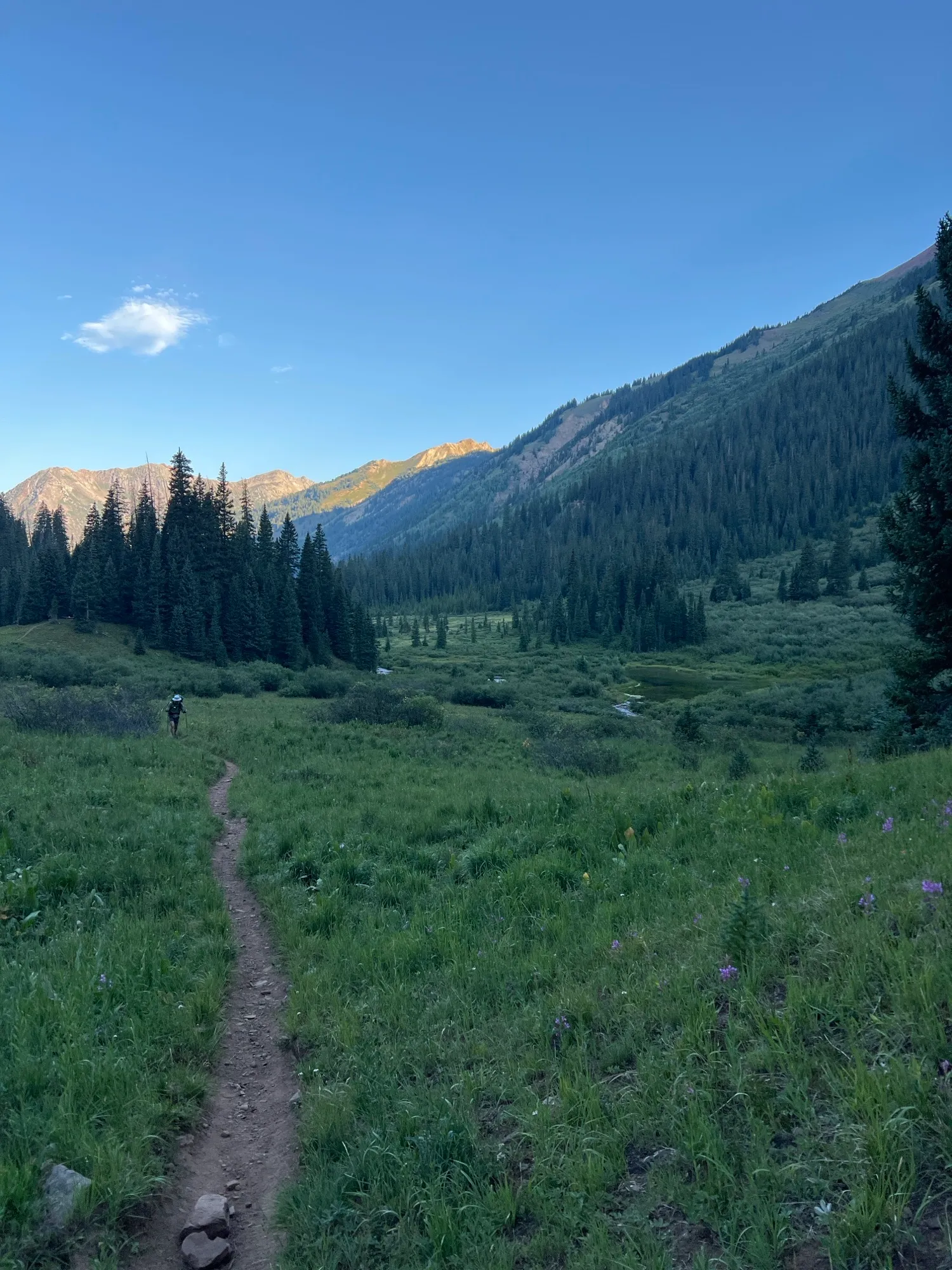 Four Pass Loop
