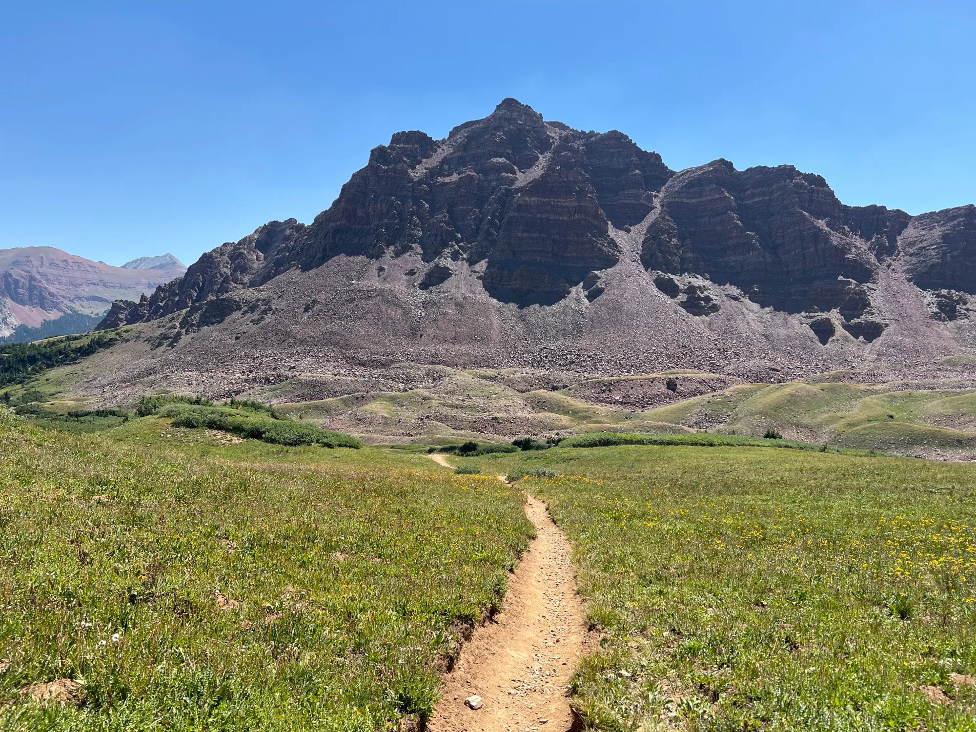 Four Pass Loop