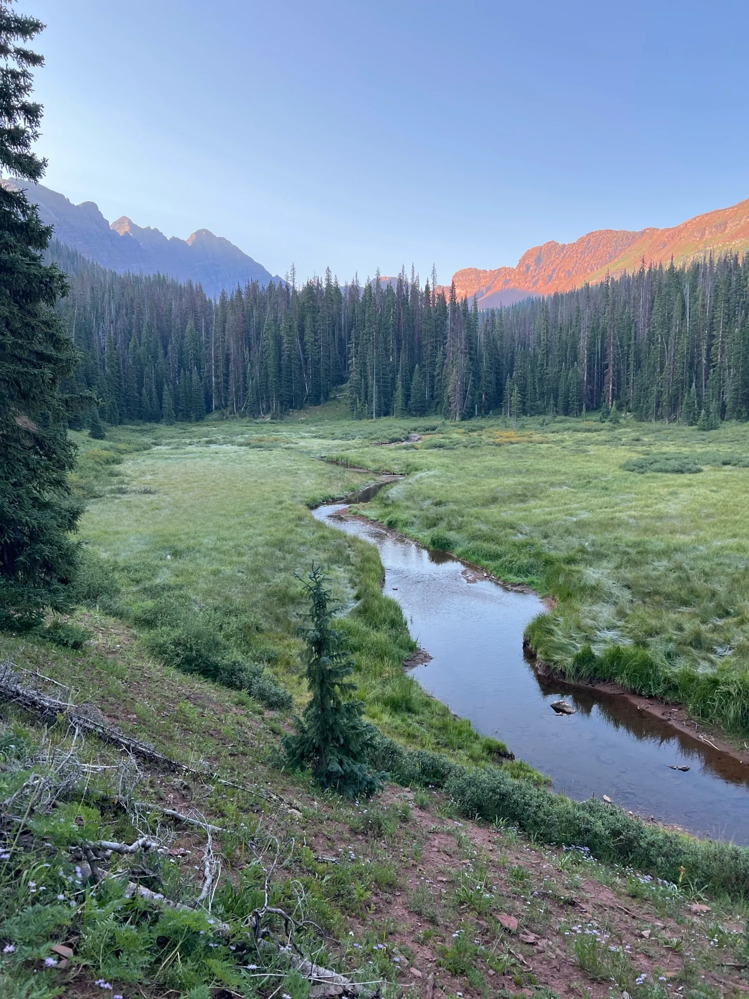 Four Pass Loop