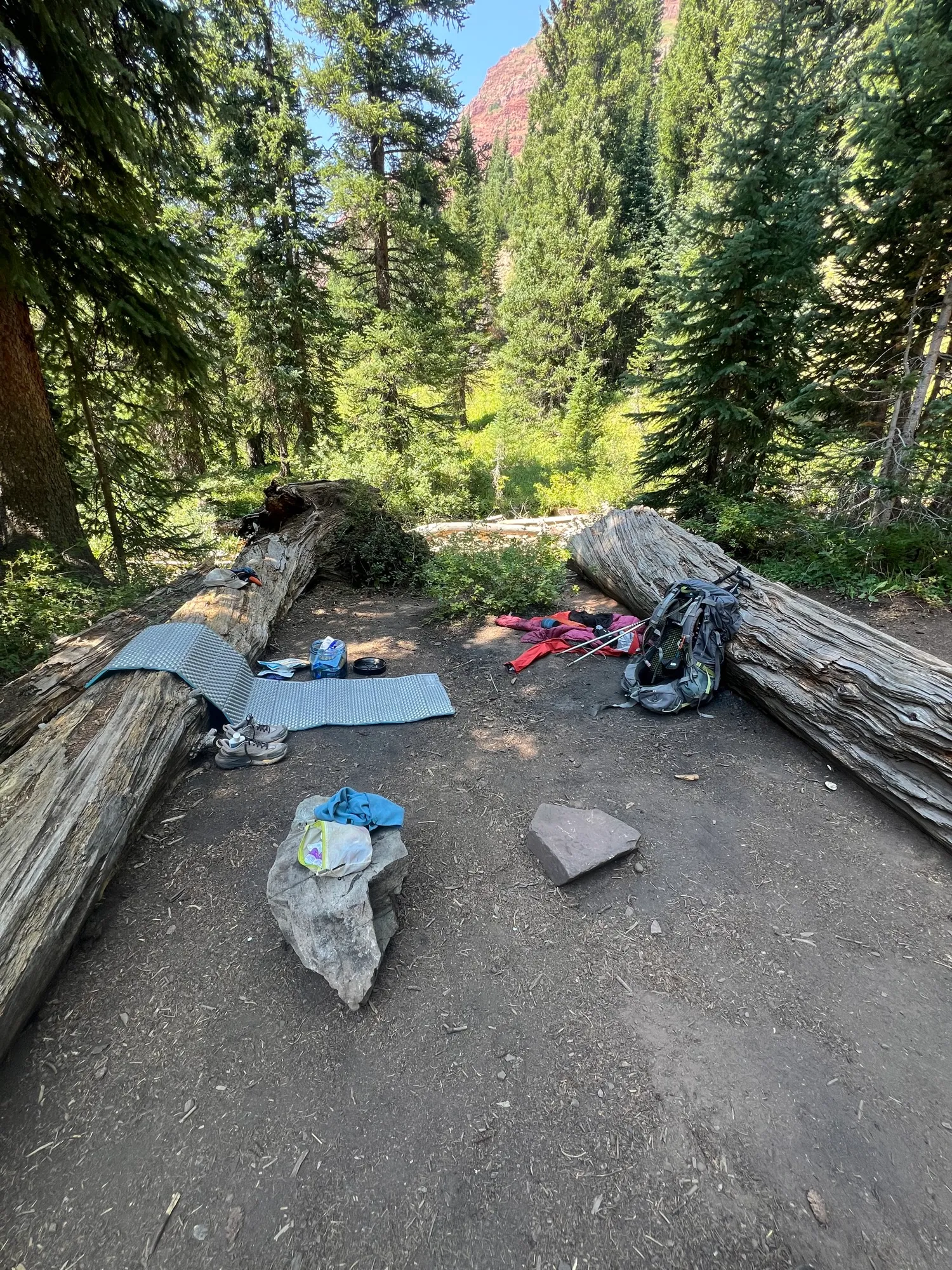 Four Pass Loop