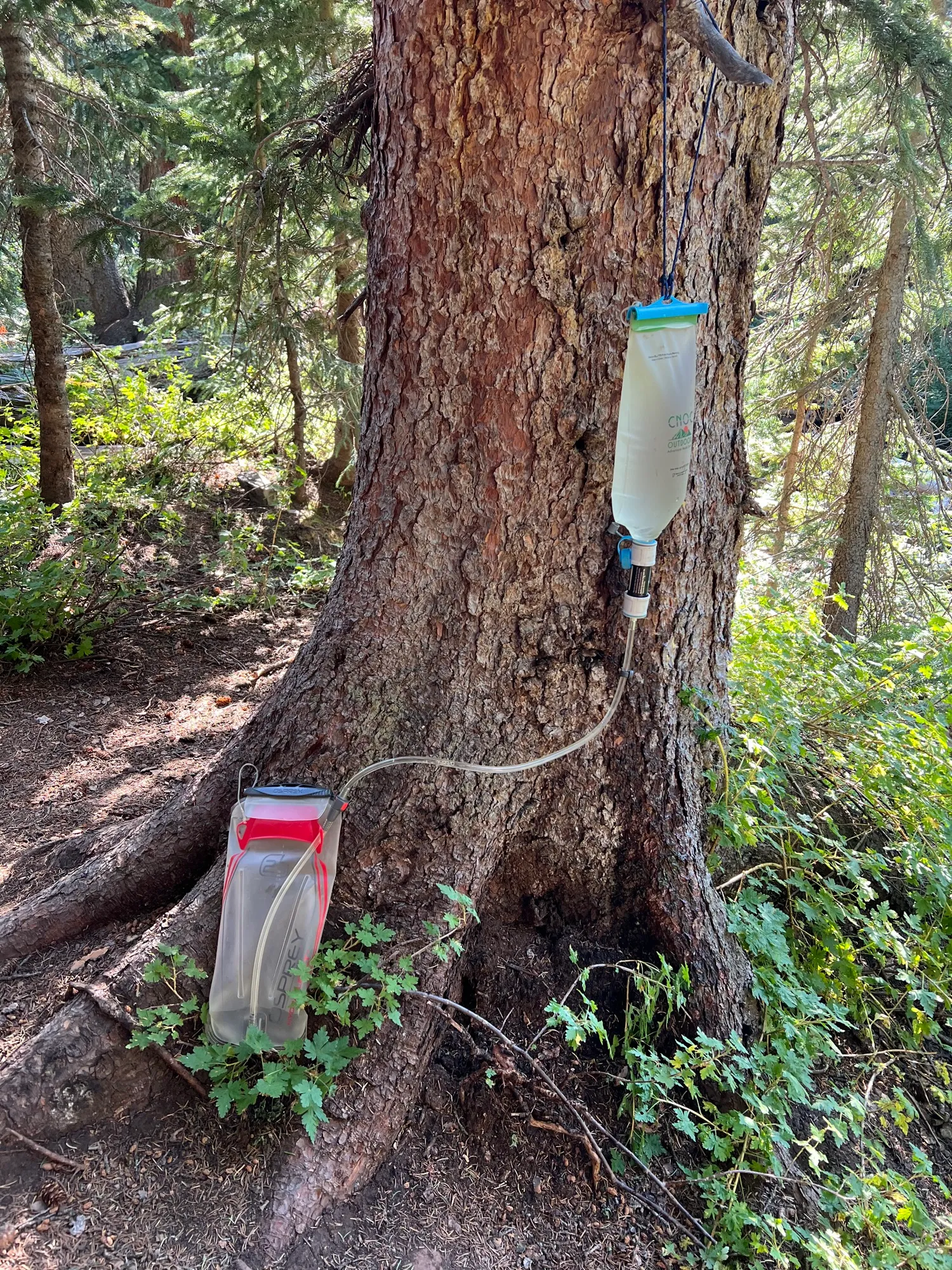 Four Pass Loop