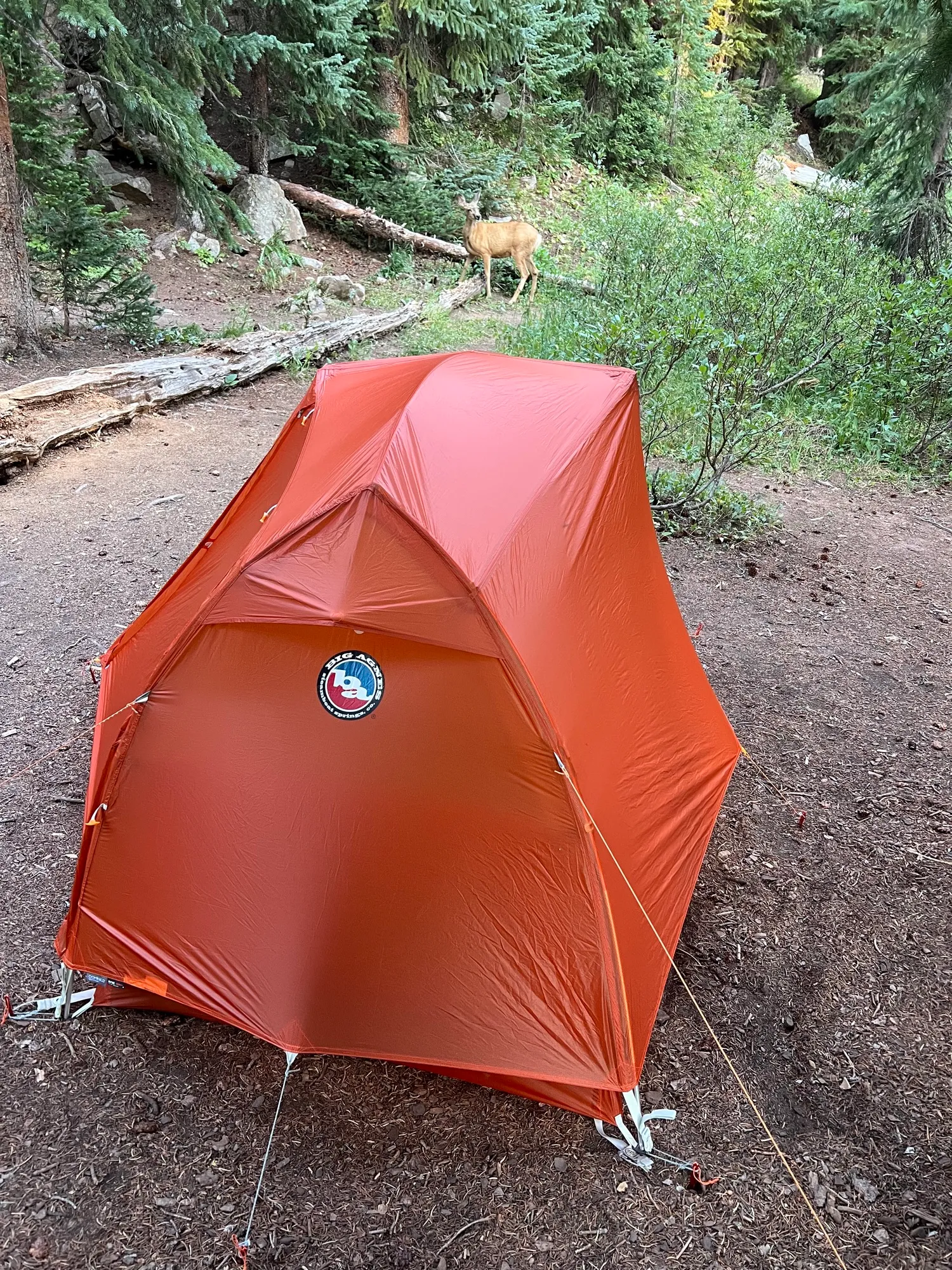 Four Pass Loop