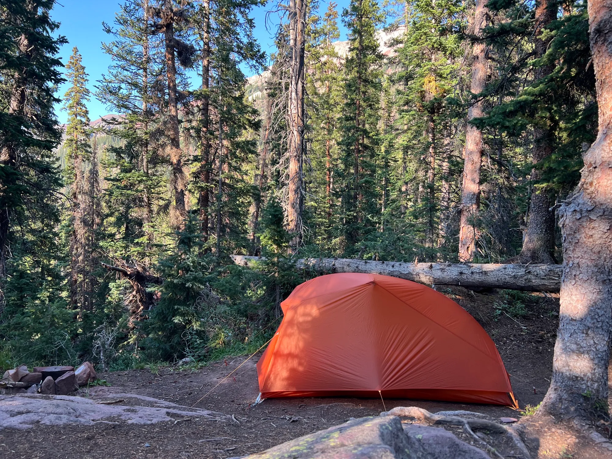 Four Pass Loop
