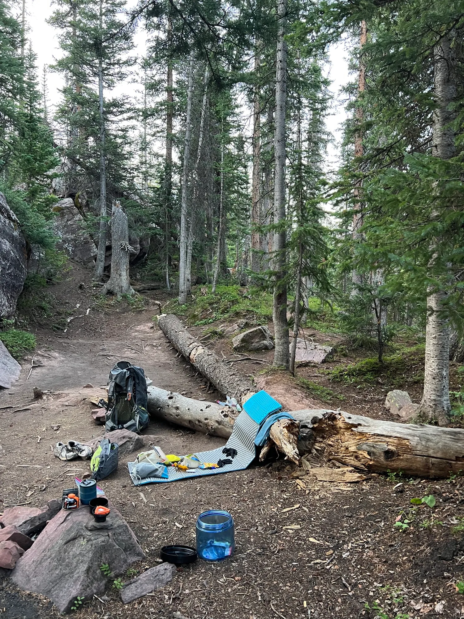 Four Pass Loop