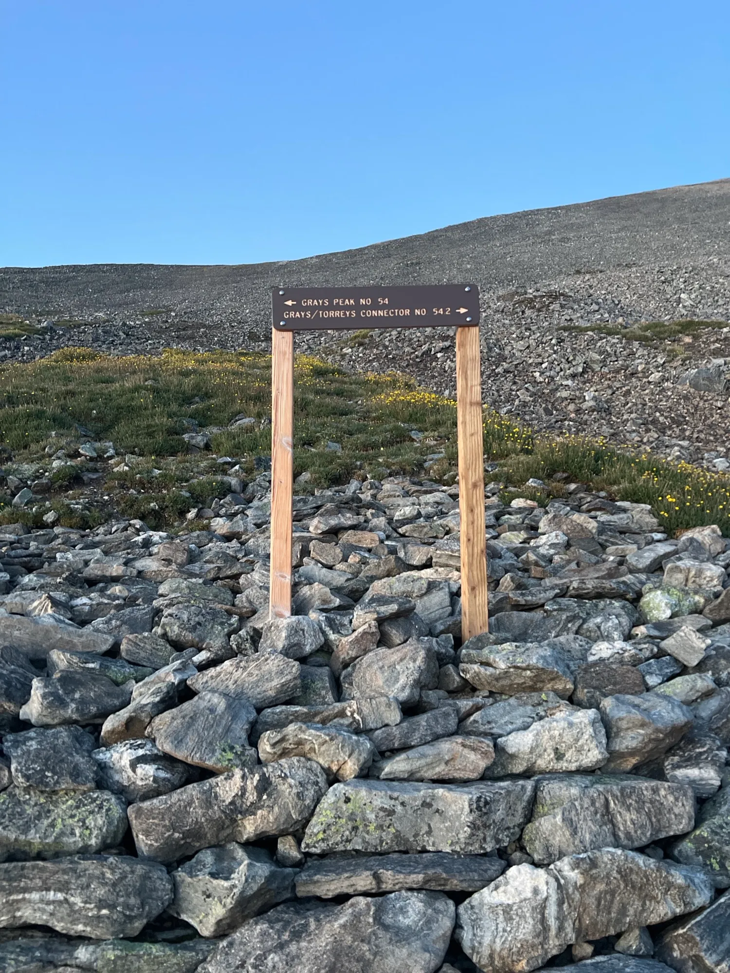 Grays and Torreys Peaks