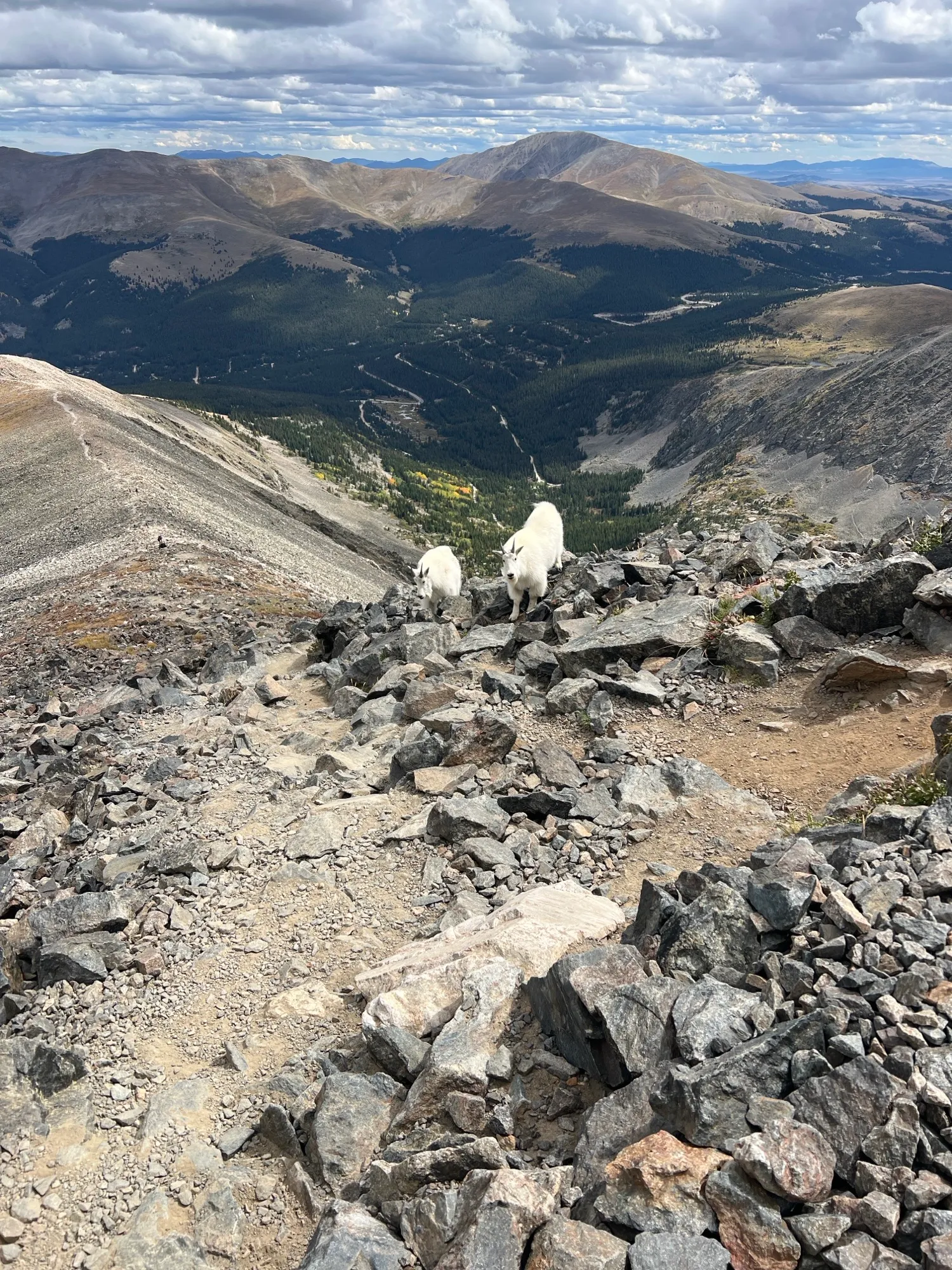 Quandary Peak