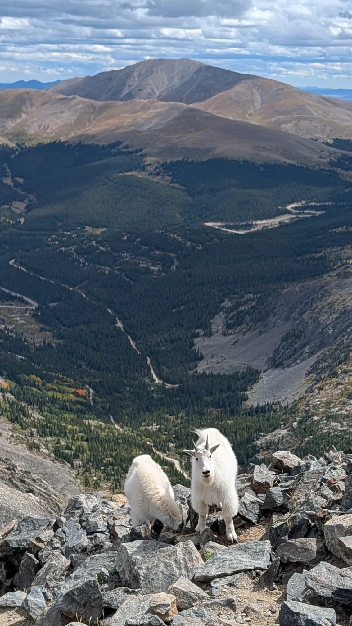 Quandary Peak