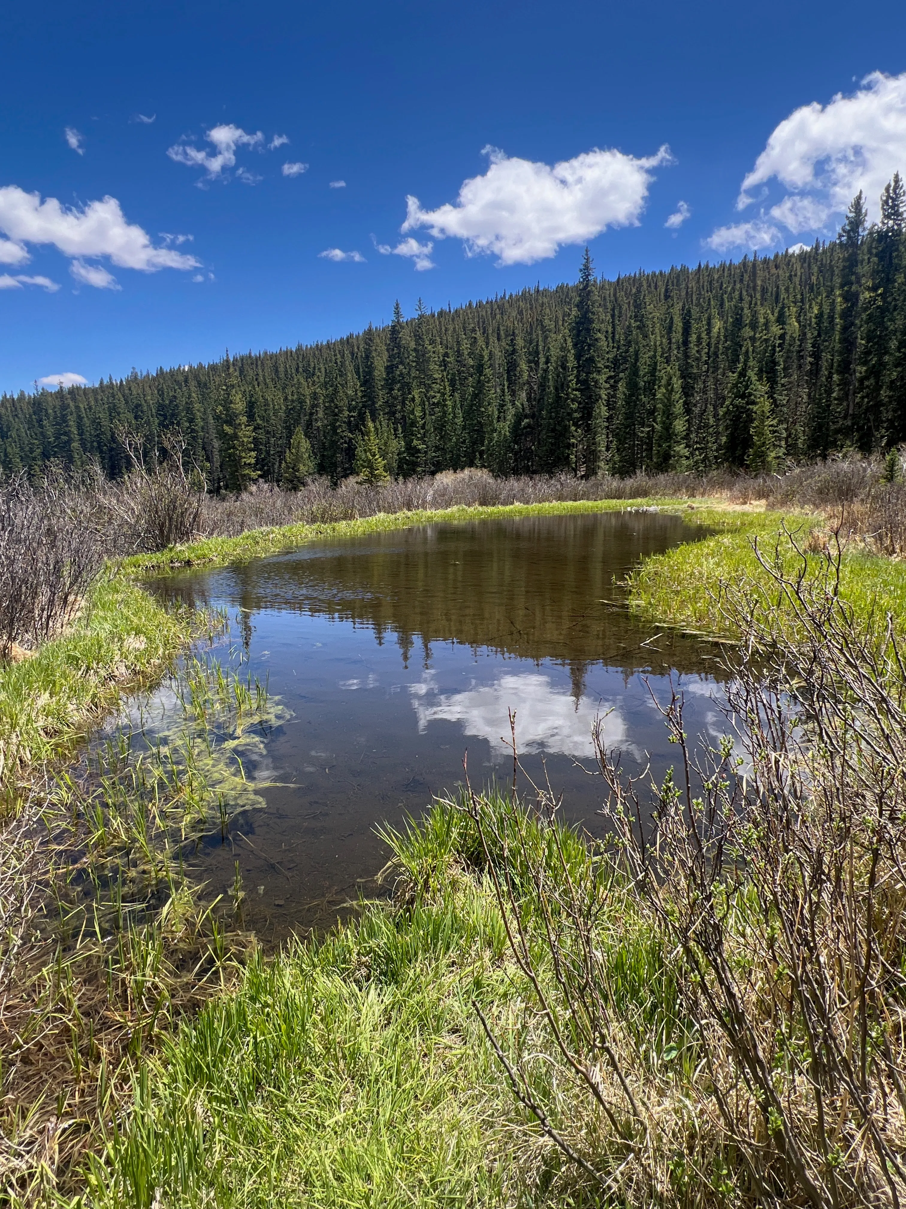 Wigwam Trail