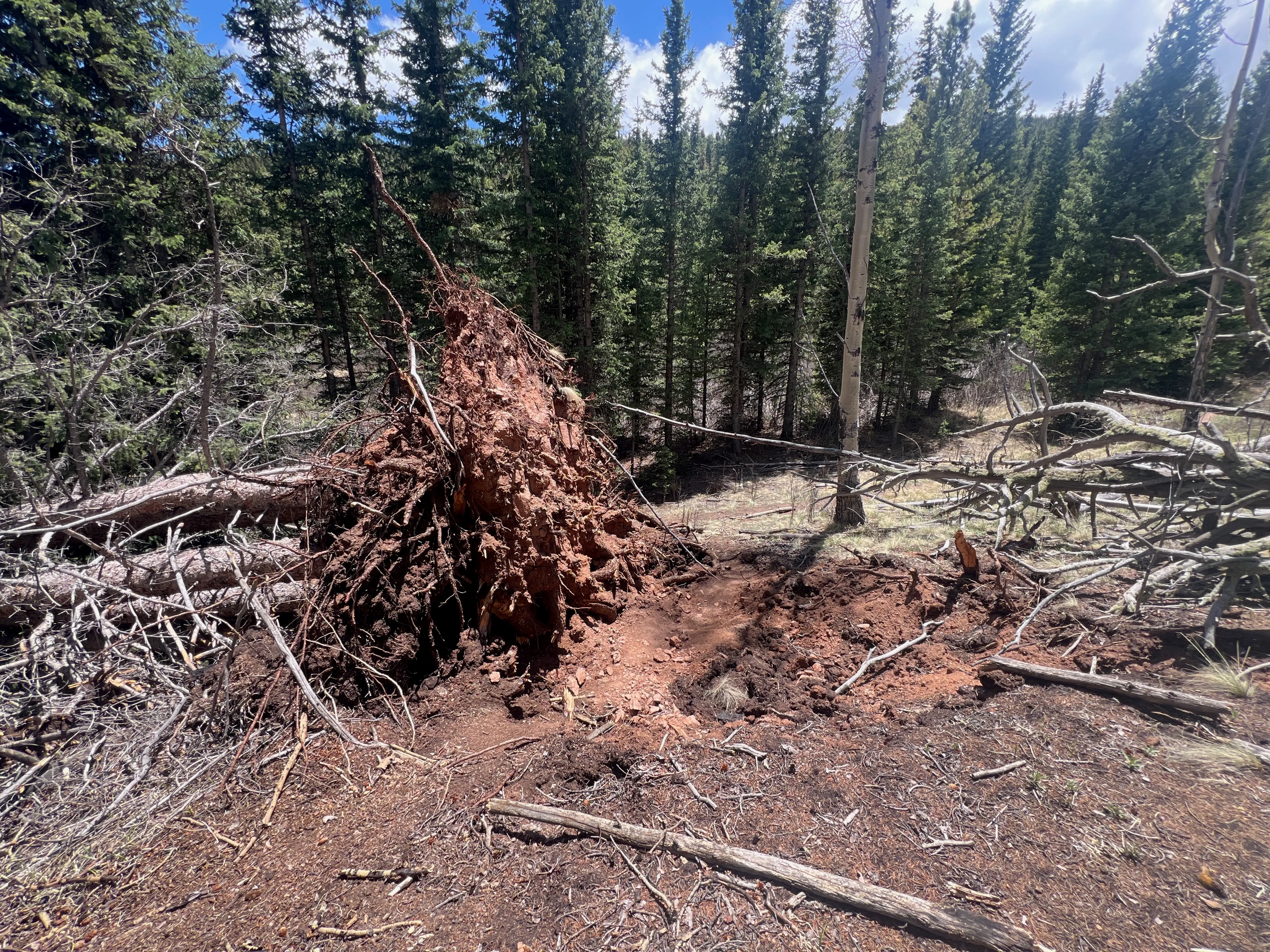 Wigwam Trail