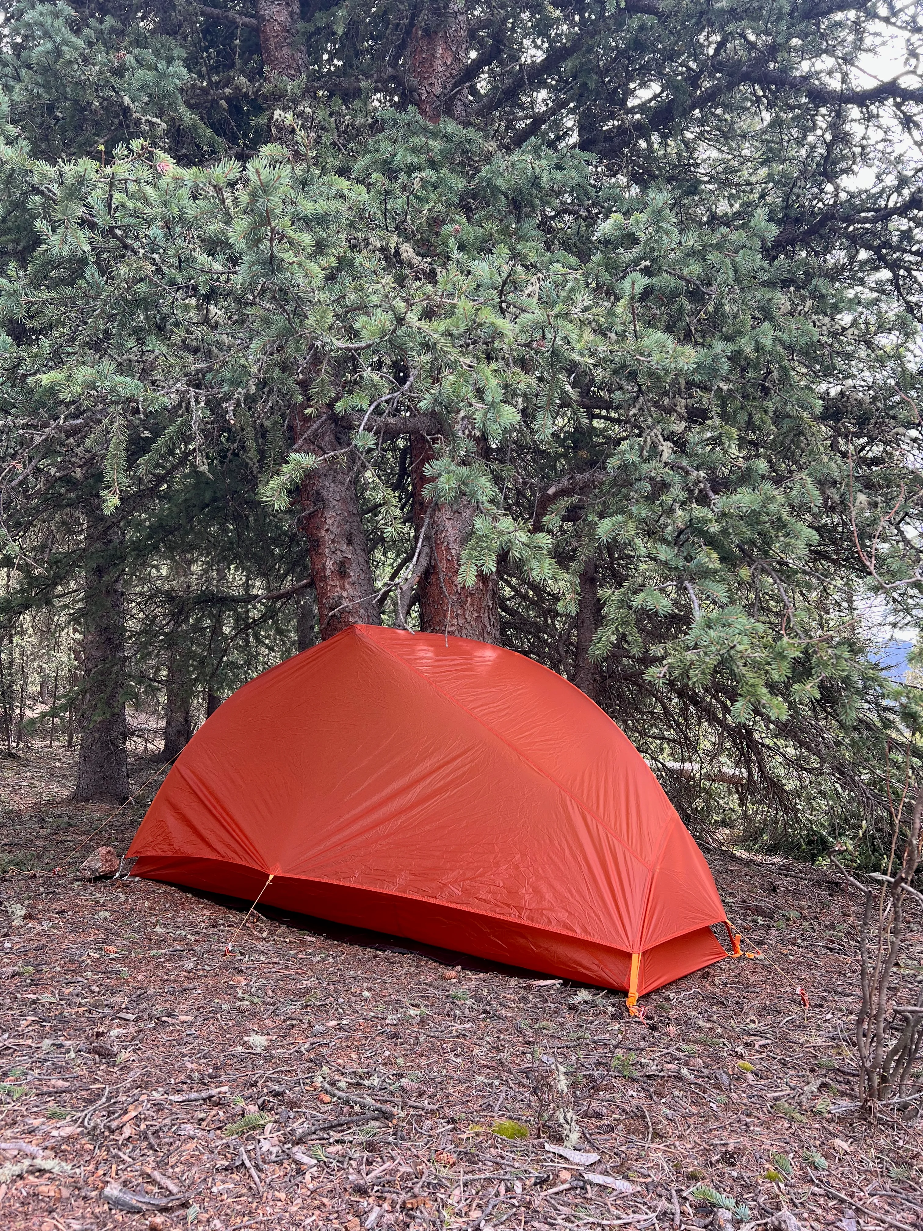 Wigwam Trail