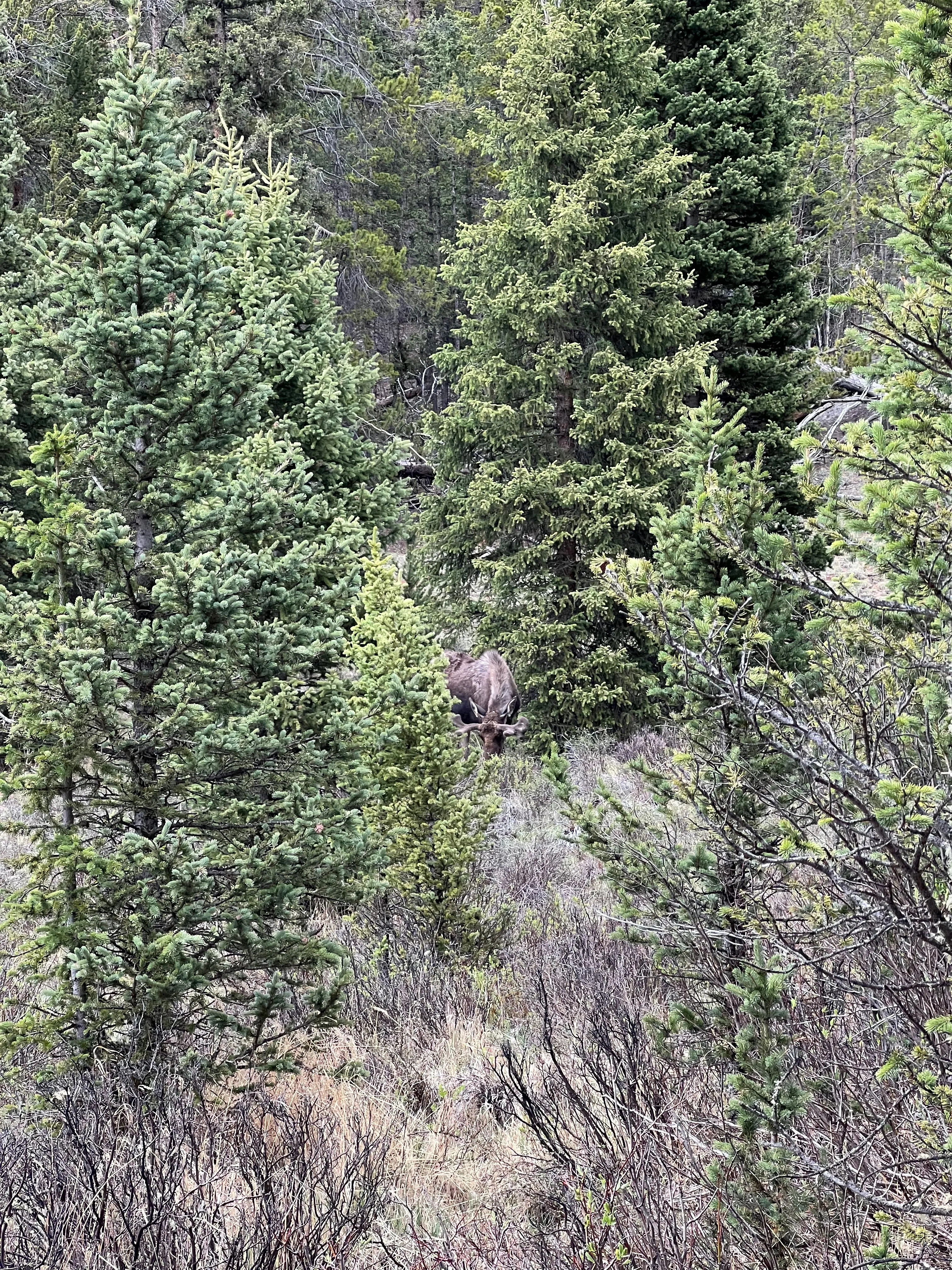 Wigwam Trail