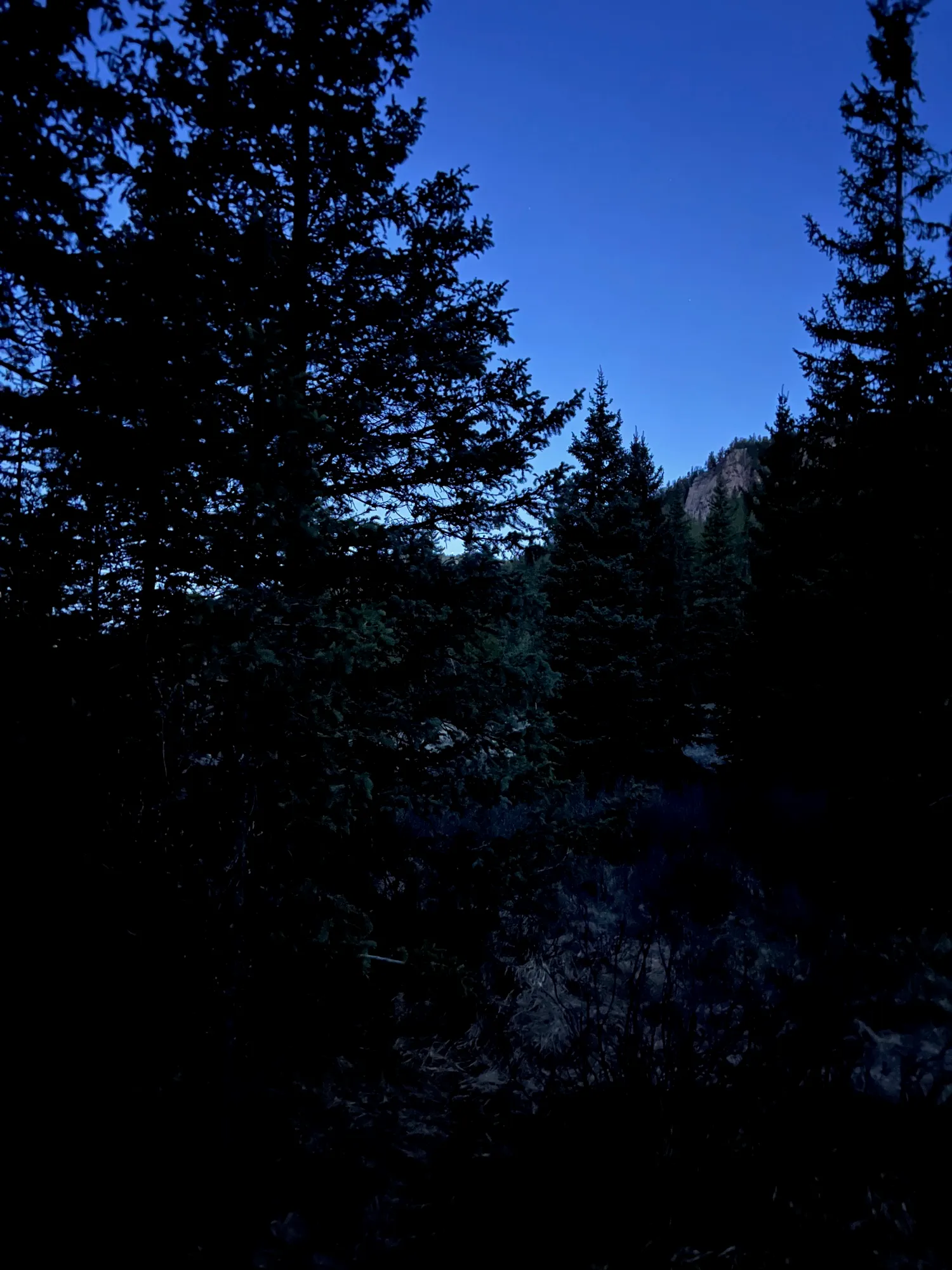 Wigwam Trail