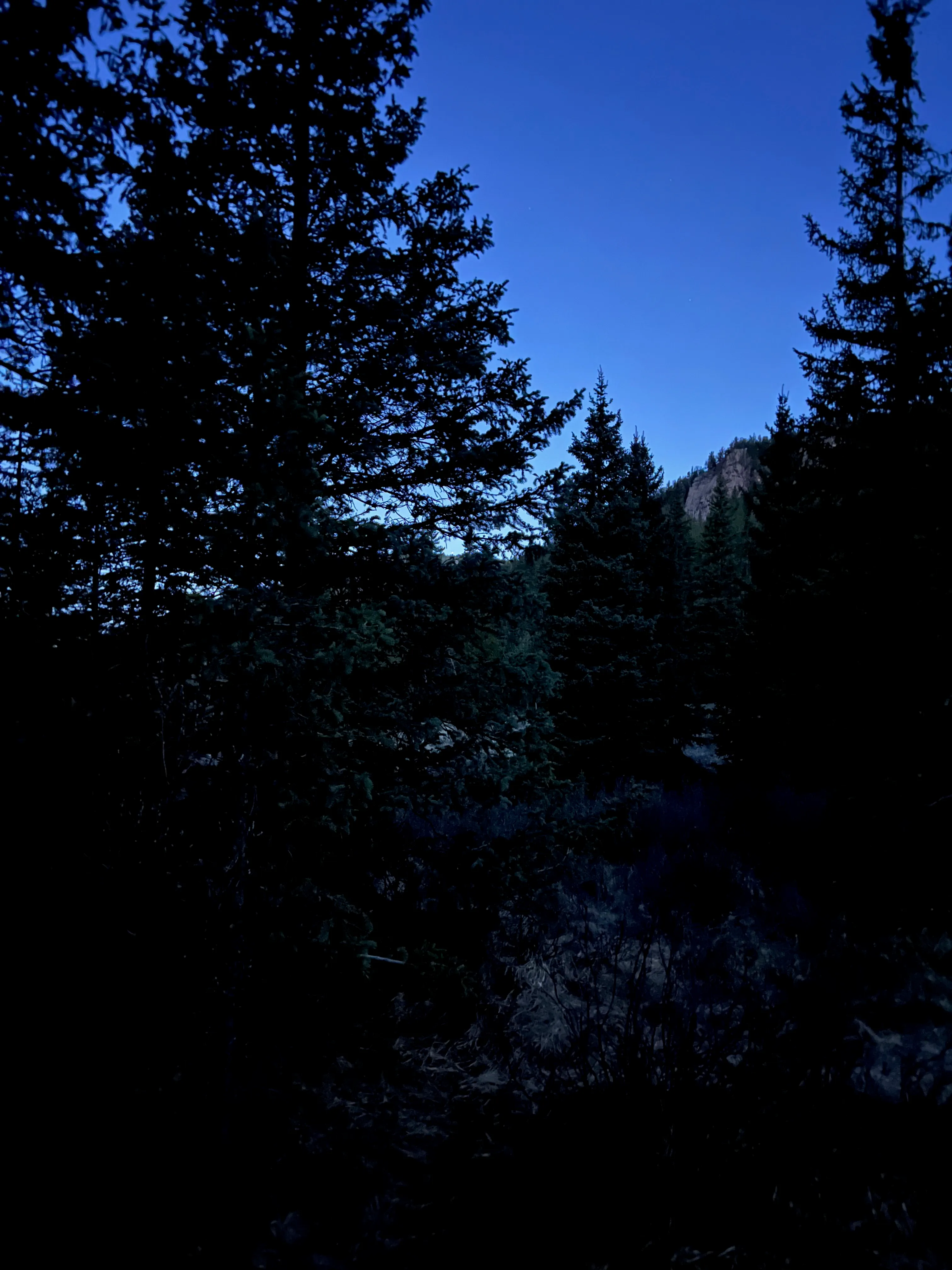 Wigwam Trail